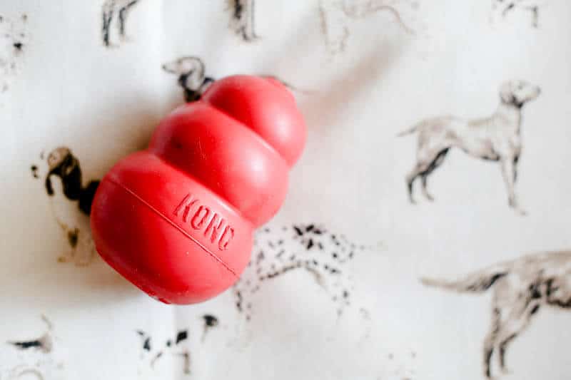 red kong for puppies, kong fillers
