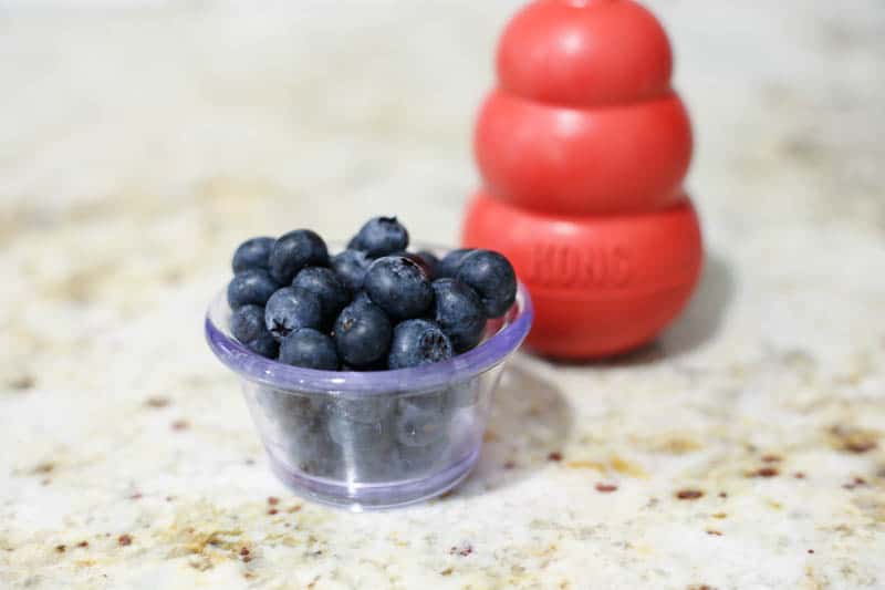 blueberries kong fillers, blueberries on counter