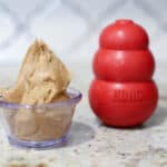 peanut butter, kong filler