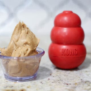peanut butter, kong filler