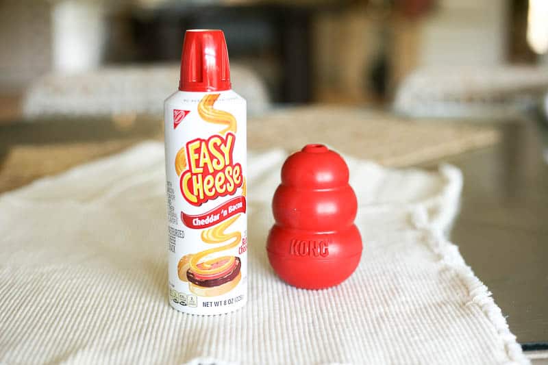 easy cheese cheese whiz on counter, kong filler