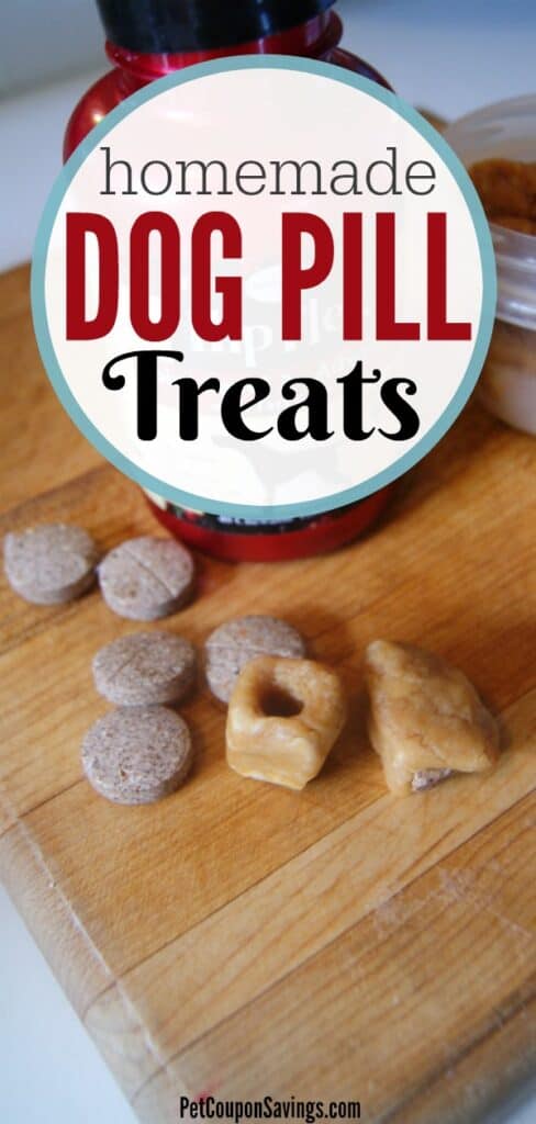 homemade-dog-food-treat-recipes-vet-approved-your-pup-will-love