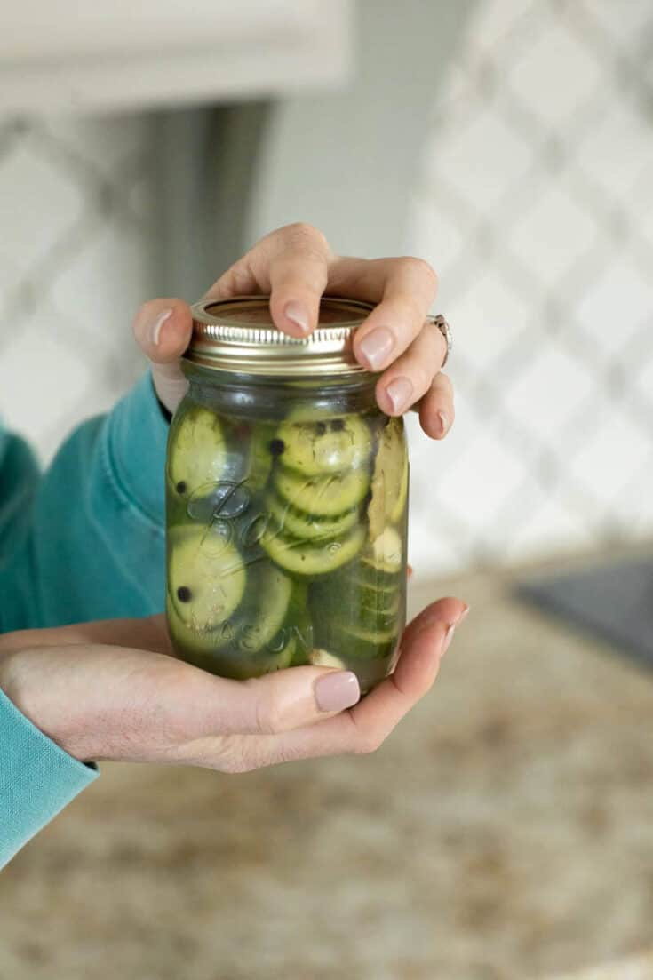 How to Pickle Cucumbers - Make Fast, Easy & Tasty Pickles!